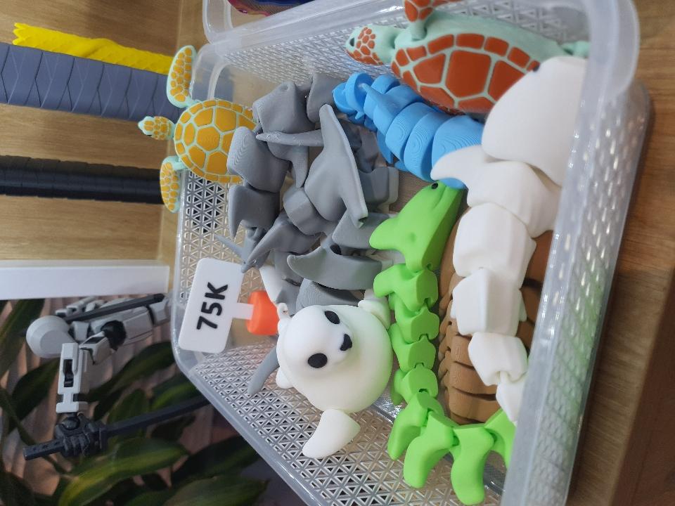 Cá heo xám-duoc-ban-tai-Lytran 3D Printing