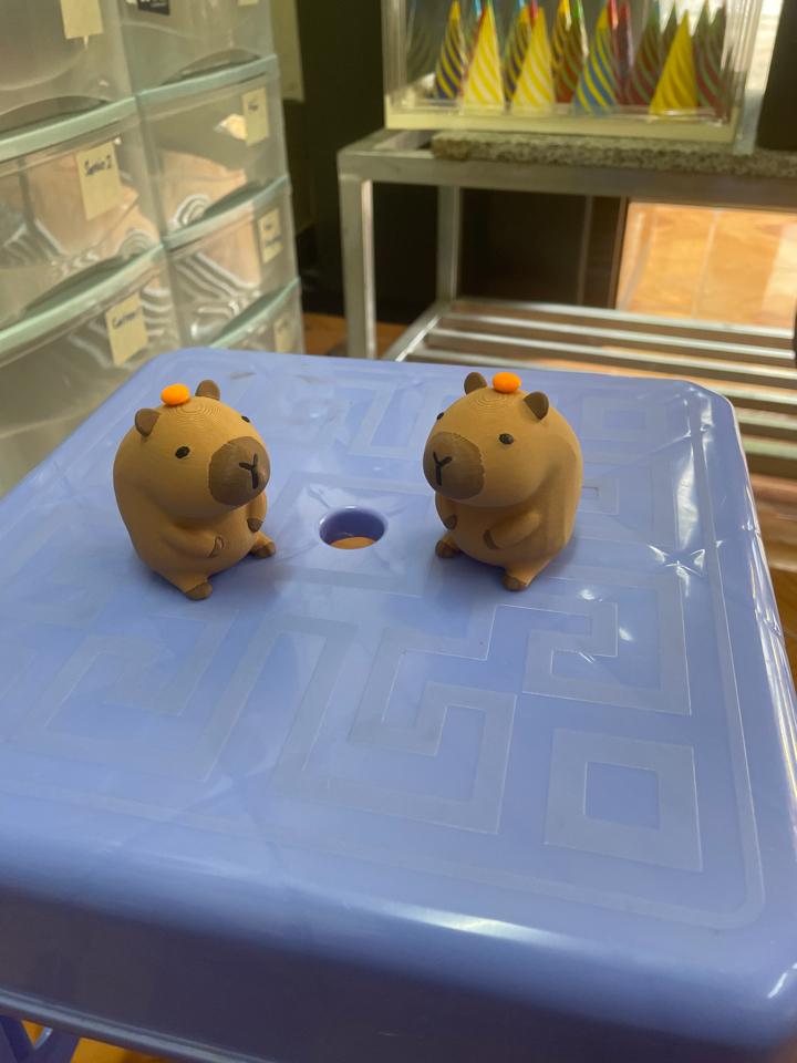 Capybara-duoc-ban-tai-Lytran3D Gold Coast