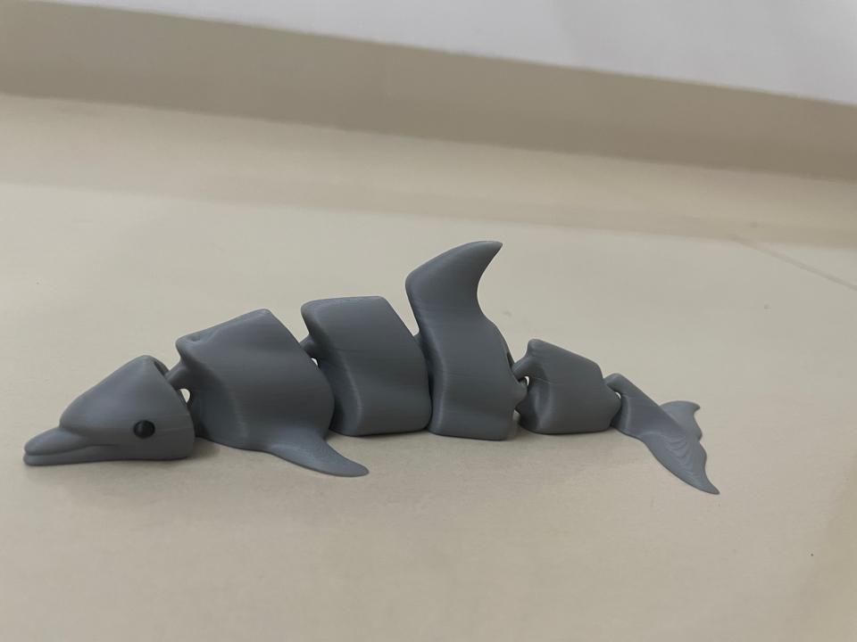 Cá heo xám-duoc-ban-tai-Lytran 3D Printing