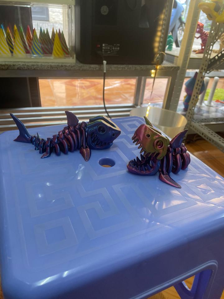 Cá mập xương-duoc-ban-tai-Lytran3D Gold Coast
