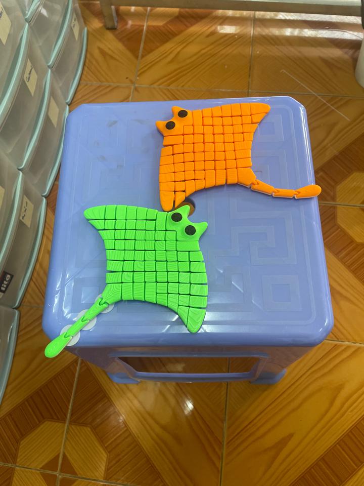 Cá đuối-duoc-ban-tai-Lytran3D Gold Coast