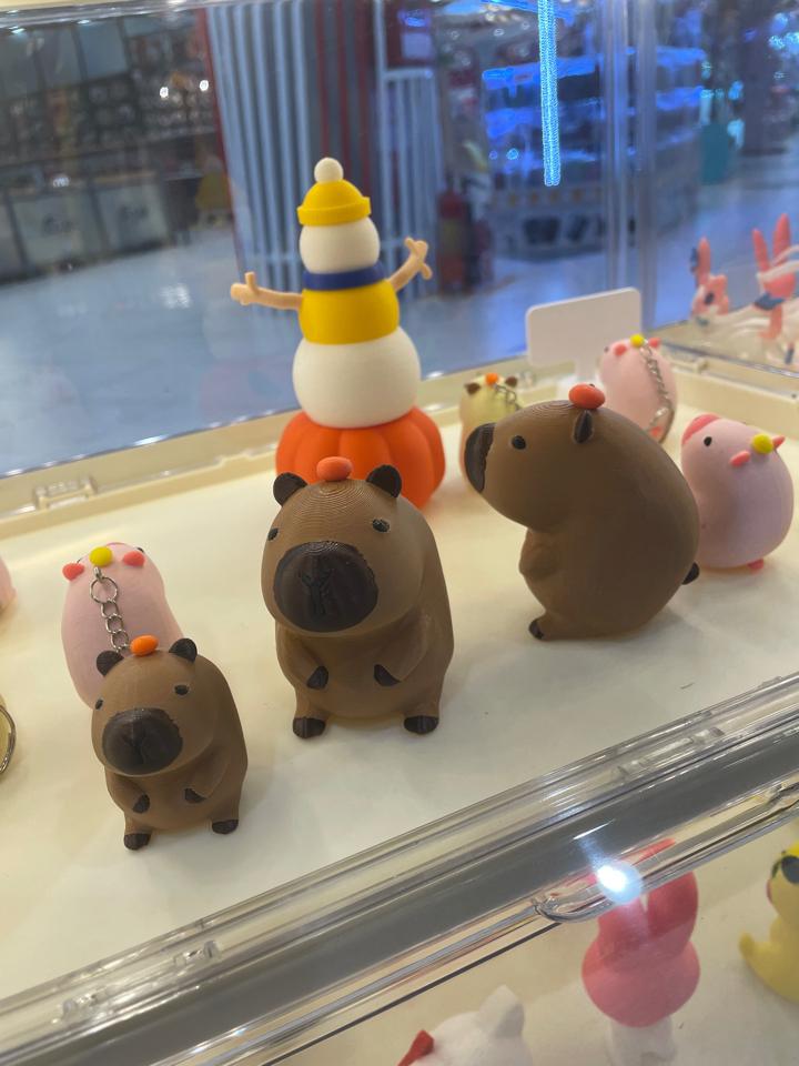 Capybara Size M-duoc-ban-tai-Lytran 3D Printing