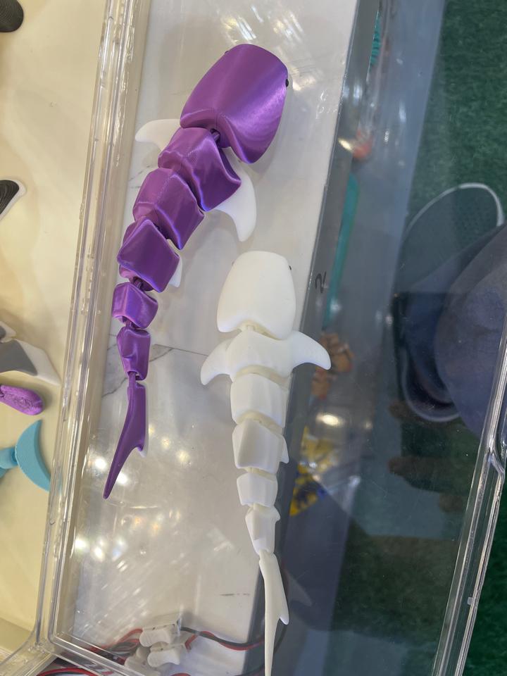 Cá mập trắng-duoc-ban-tai-Lytran 3D Printing