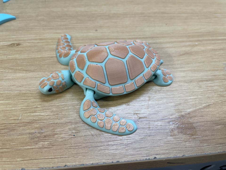 Rùa biển-duoc-ban-tai-Lytran 3D Printing