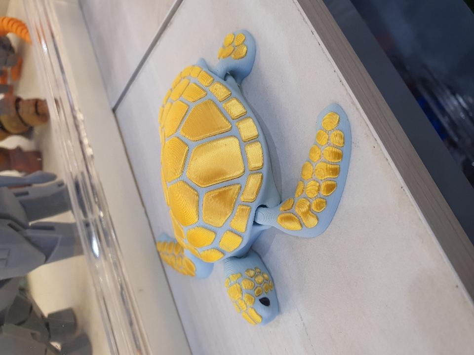 Rùa biển-duoc-ban-tai-Lytran 3D Printing