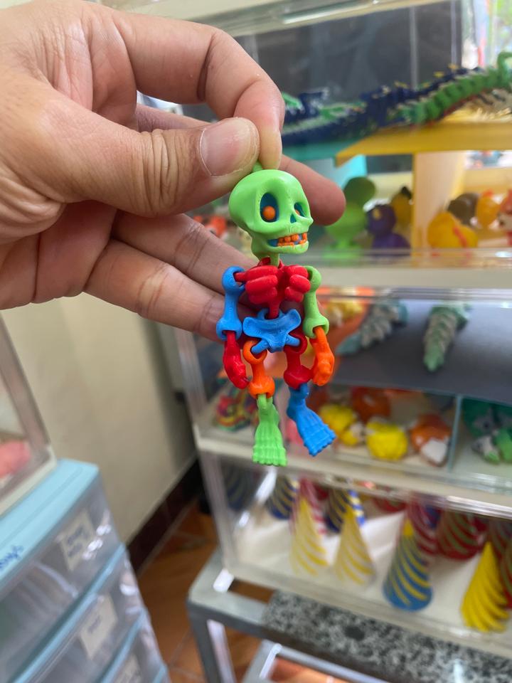 Skeleton mini-duoc-ban-tai-Lytran3D Gold Coast