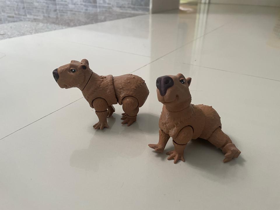 Capybara chuột lang nước-duoc-ban-tai-Lytran 3D Printing