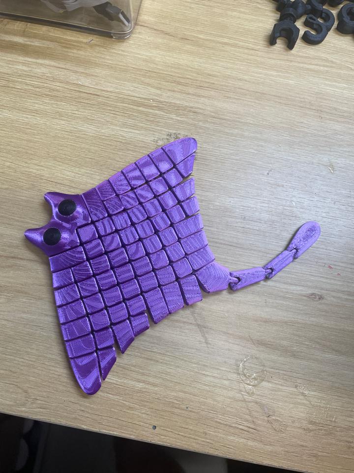 Cá đuối-duoc-ban-tai-Lytran 3D Printing