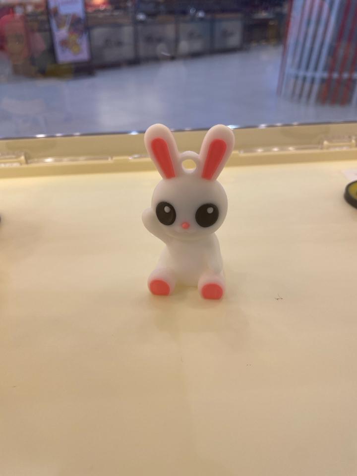 Thỏ tai dài-duoc-ban-tai-Lytran 3D Printing