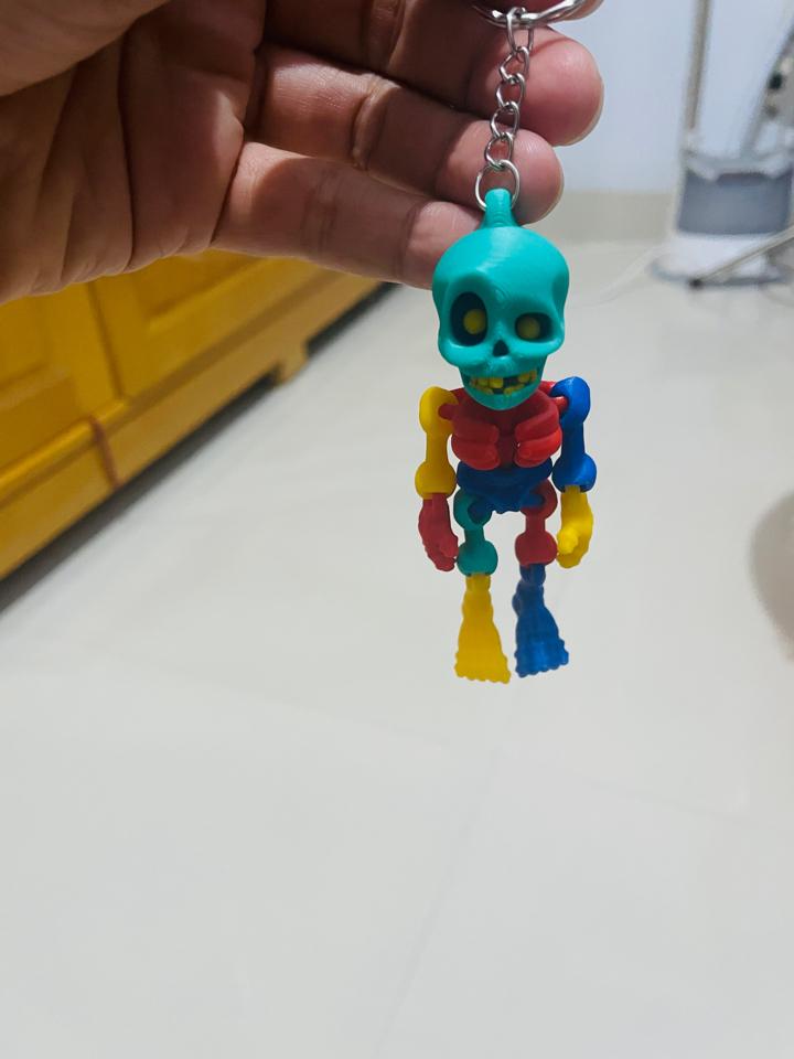 Skeleton mini màu sắc-duoc-ban-tai-Lytran 3D Printing