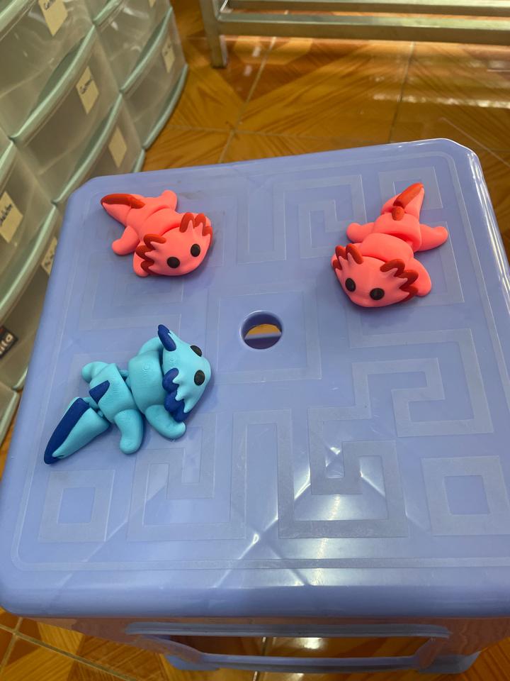 Axolotl-duoc-ban-tai-Lytran3D Gold Coast