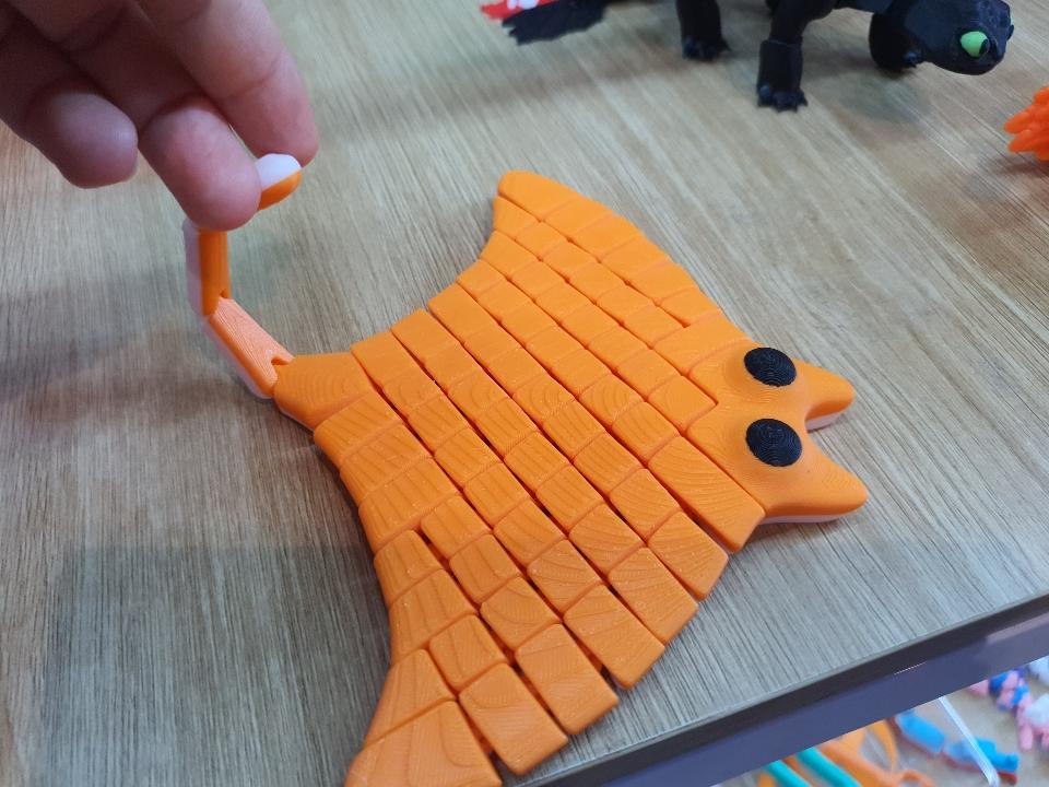 Cá đuối-duoc-ban-tai-Lytran 3D Printing