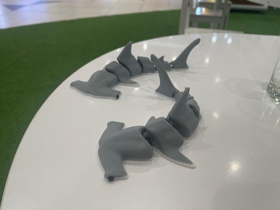 Cá mập đầu búa-duoc-ban-tai-Lytran 3D Printing