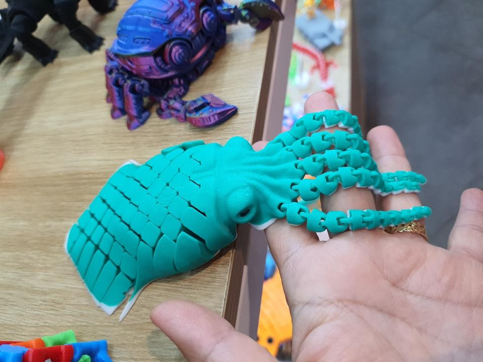 Con mực-duoc-ban-tai-Lytran 3D Printing