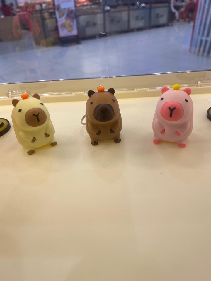 Capybara Size S-duoc-ban-tai-Lytran 3D Printing