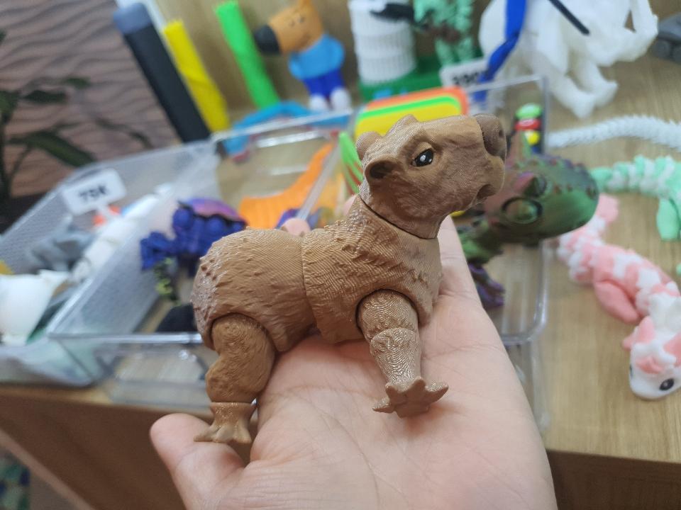 Capybara khớp-duoc-ban-tai-Lytran 3D Printing