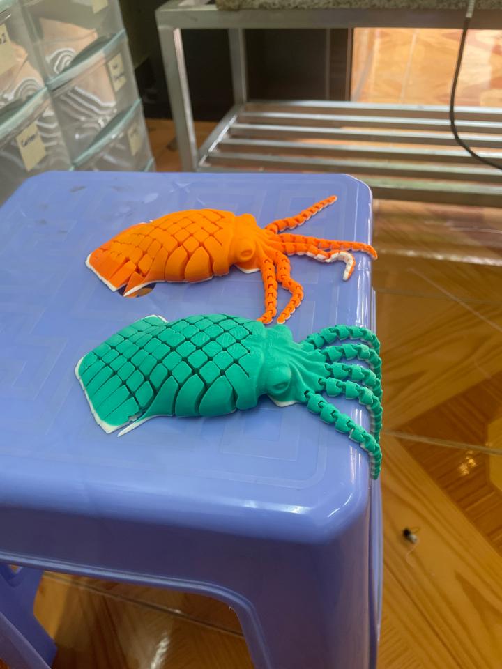 Con mực-duoc-ban-tai-Lytran3D Gold Coast