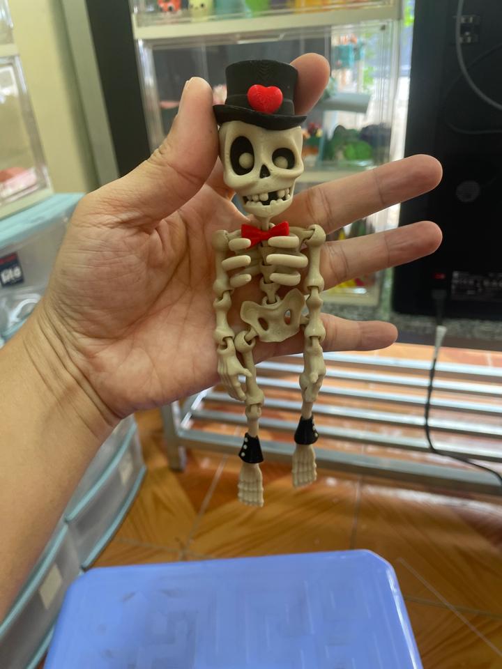 Skeleton đội nón-duoc-ban-tai-Lytran3D Gold Coast