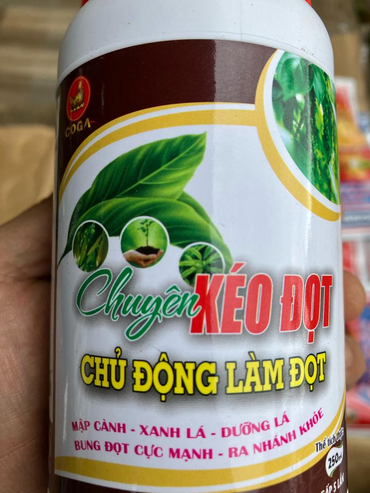 Coga Kéo đọt 250ml-duoc-ban-tai-Cửa hàng vật tư nông nghiệp Long Phát