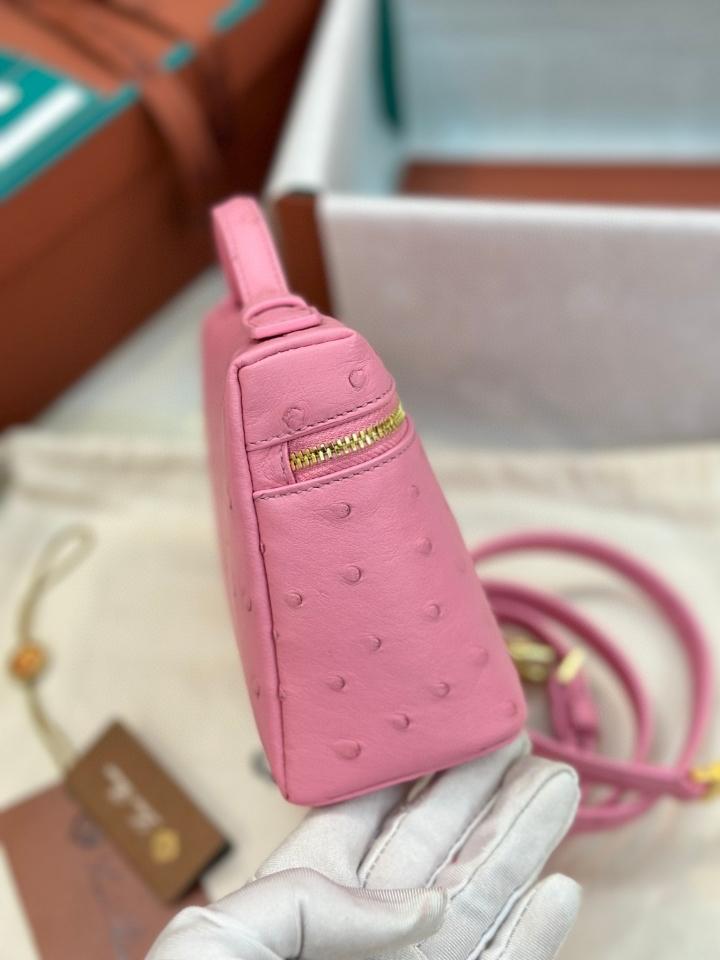 Loro Piana Extra Pocket L19

Ostrich Leather pink-duoc-ban-tai-Hvip Bags & Accessories