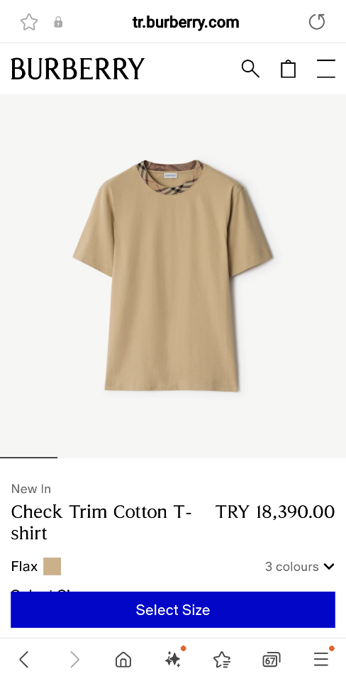 Burberry Check Trim Cotton T-shirt 8110101 flax-duoc-ban-tai-HVIP Shoes & Clothes