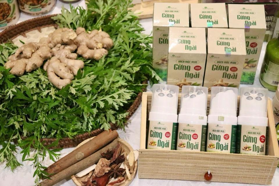 Con lăn Bách Mộc Plus Nóng mạnh-duoc-ban-tai-Lan Phương