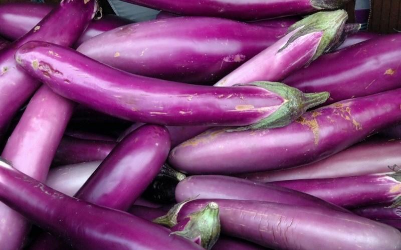 Cà tím-duoc-ban-tai-ĐÀ LẠT LẨU & NƯỚNG