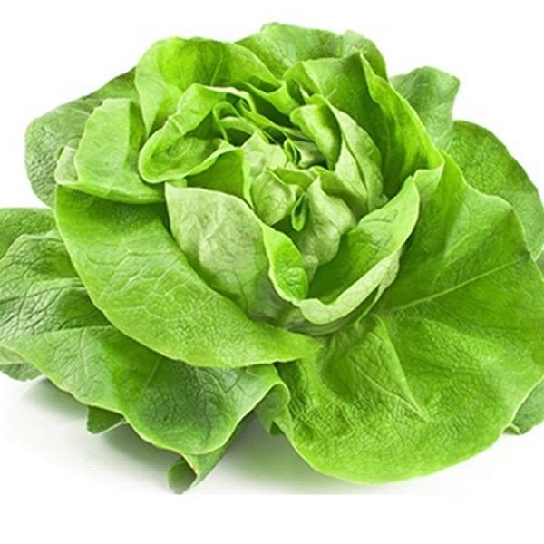 Xà Lách-duoc-ban-tai-ĐÀ LẠT LẨU & NƯỚNG