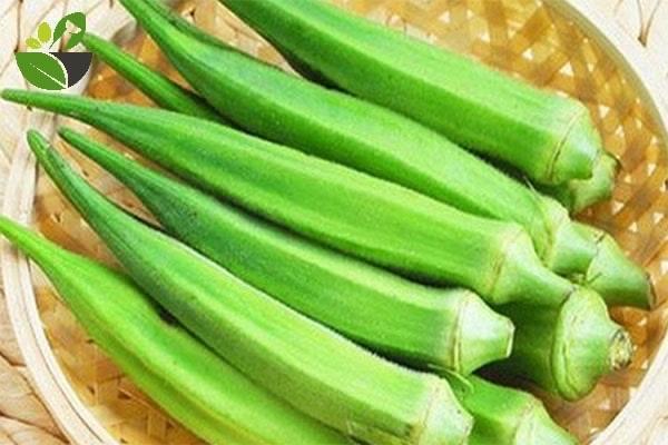 Đậu Bắp/Cà tím-duoc-ban-tai-ĐÀ LẠT LẨU & NƯỚNG