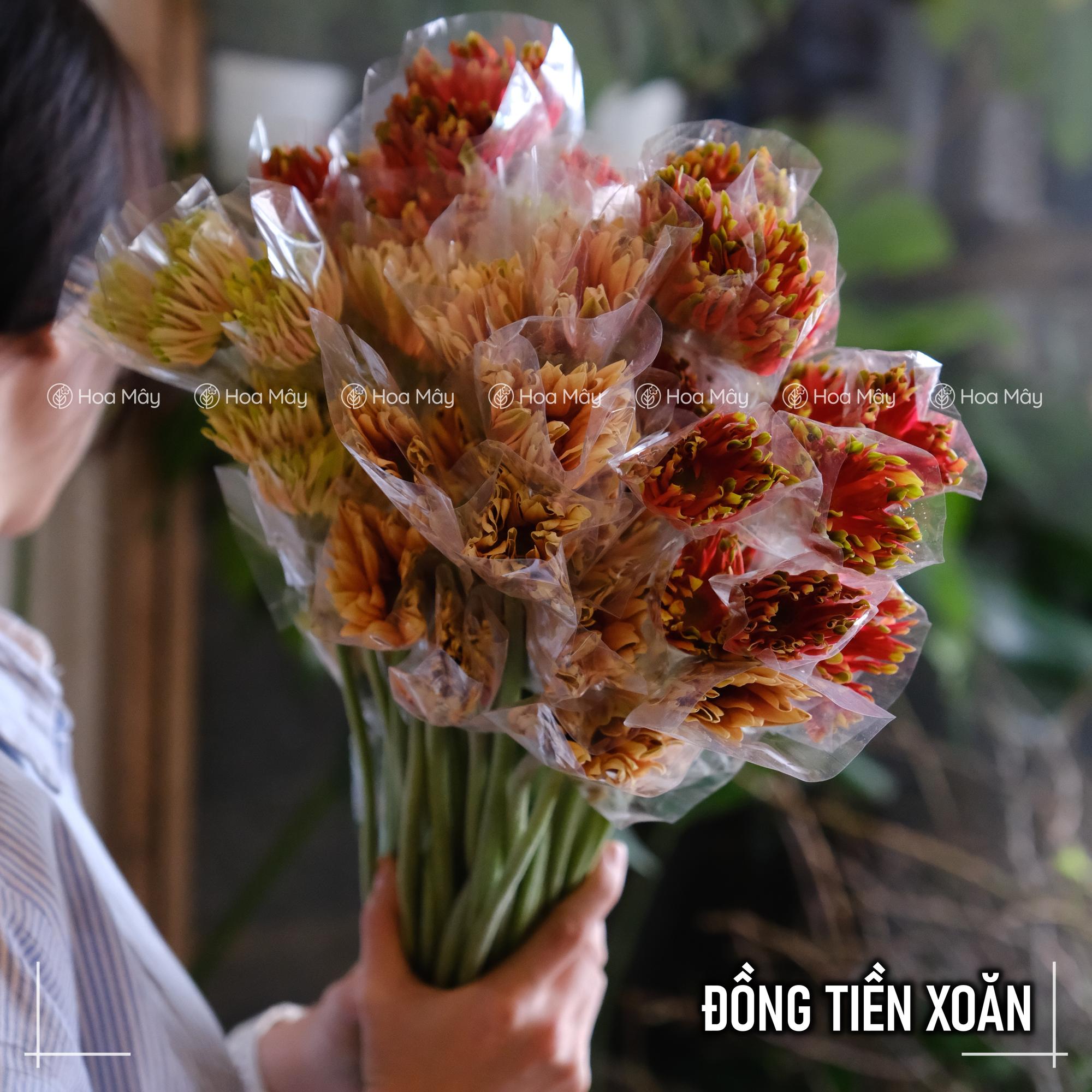 Set mix hoa/lá các loại-duoc-ban-tai-HOA MÂY GARDEN