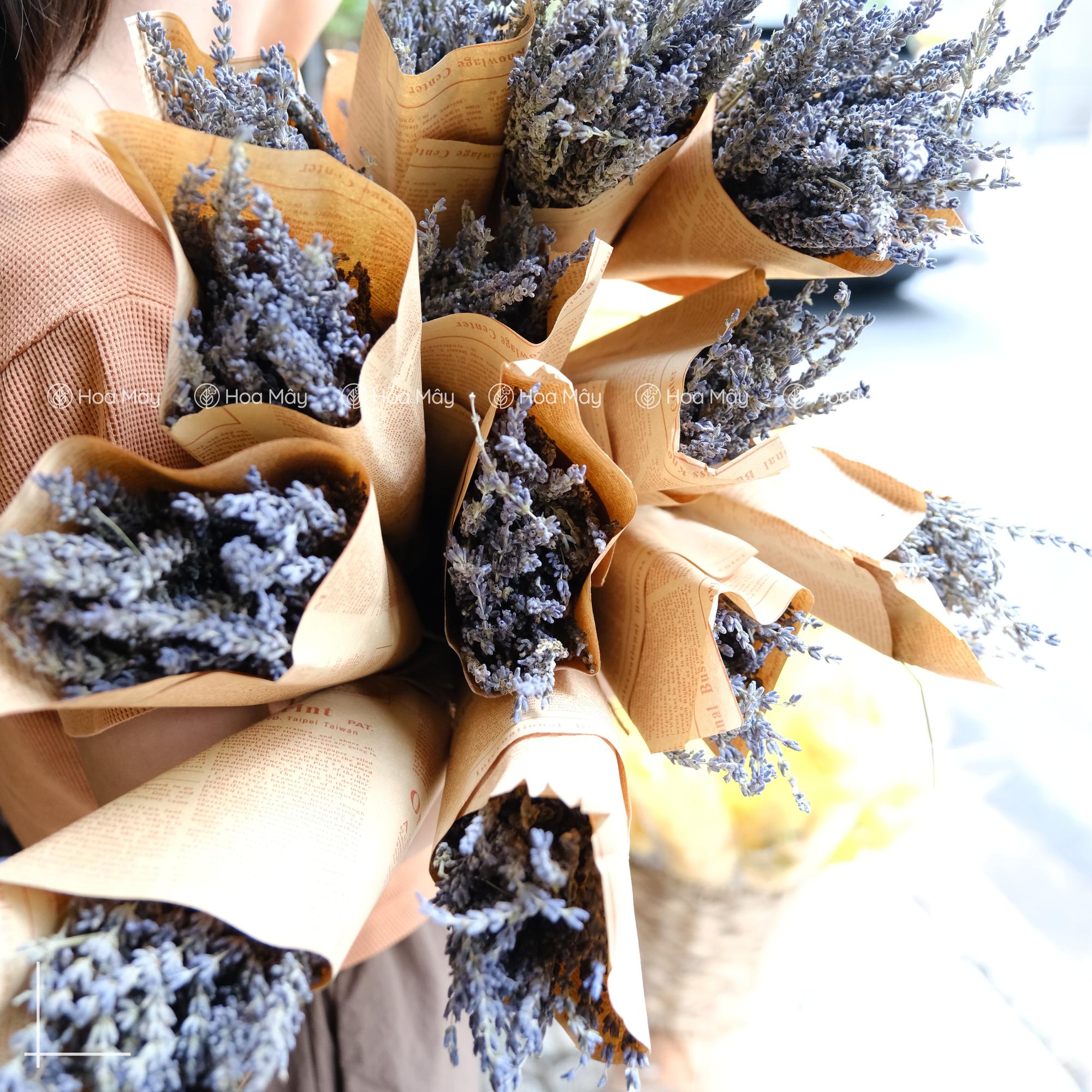 Lavender-duoc-ban-tai-HOA MÂY GARDEN