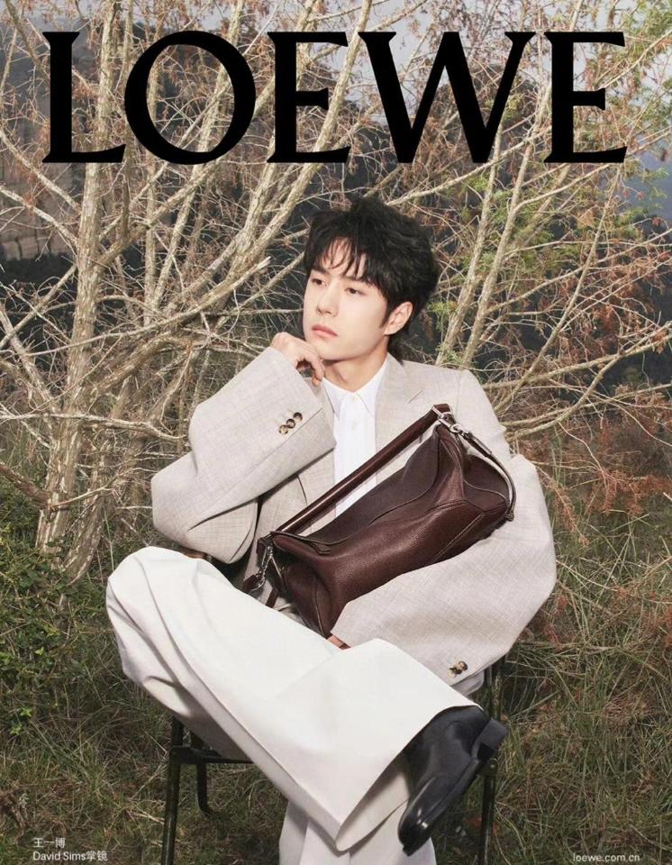 Loewe Large Puzzle bag in supple grained calfskin B510PNLX03 Dark Chestnut-duoc-ban-tai-Hvip Bags and Accessories