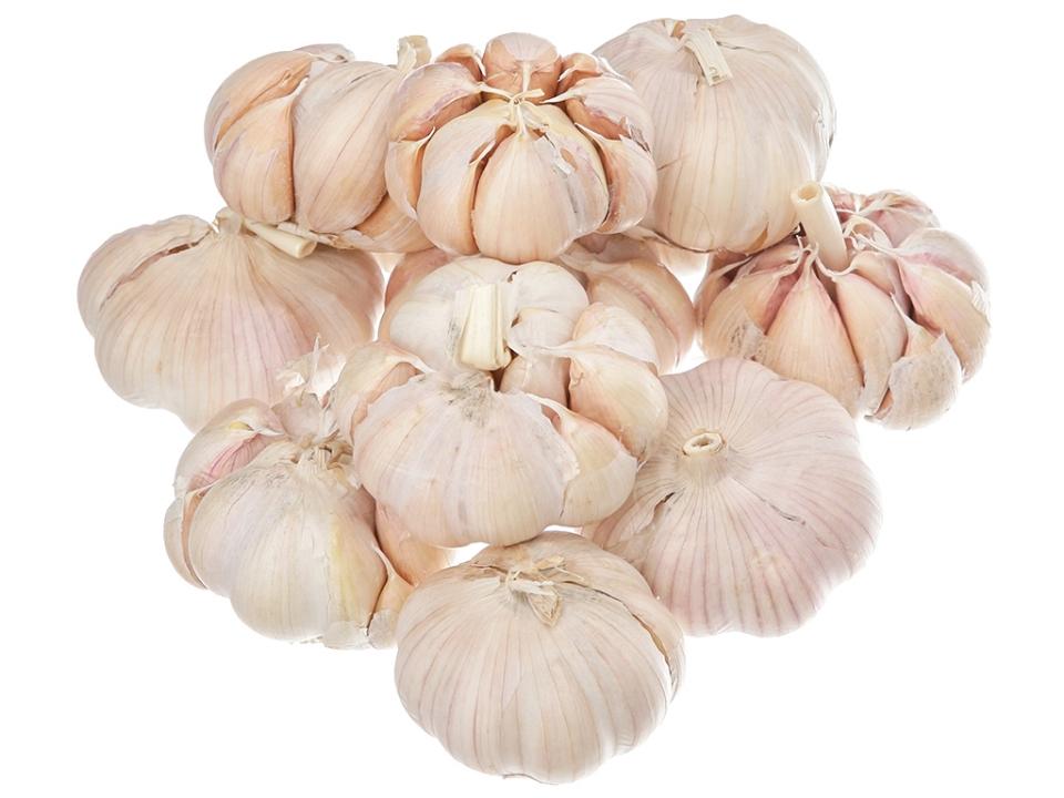 Tỏi-duoc-ban-tai-Tạp Hóa Hữu Tình