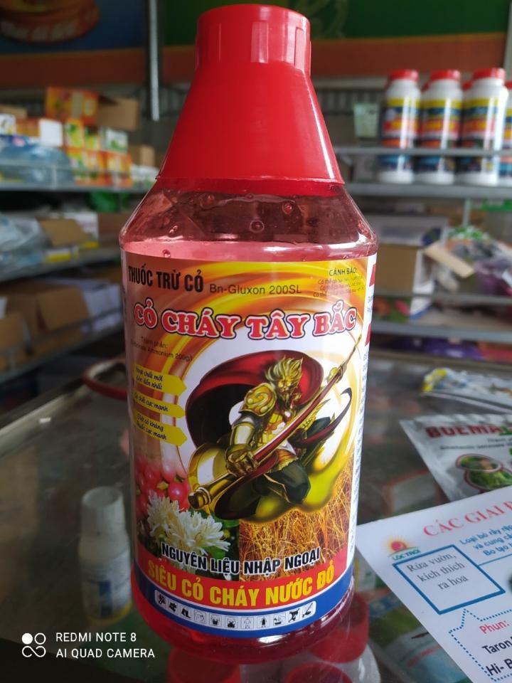 Cỏ cháy tây bắc-duoc-ban-tai-Phân bón  Phú Son
