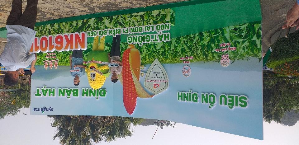 NK 6101-duoc-ban-tai-Phân bón  Phú Son
