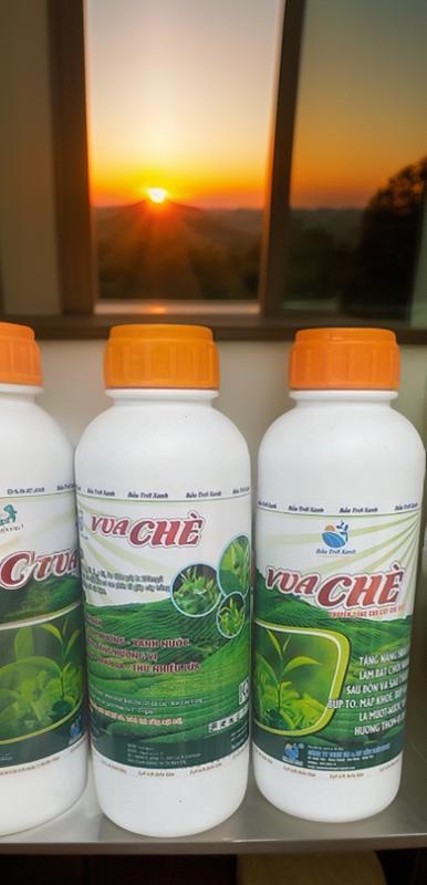 Vua Chè-duoc-ban-tai-Phân bón  Phú Son
