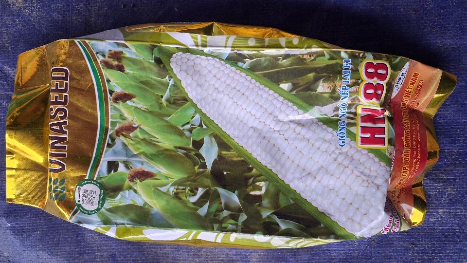 Giống ngô lai HN88-duoc-ban-tai-Phân bón  Phú Son