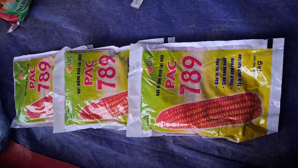 Giống ngô lai đơn 789-duoc-ban-tai-Phân bón  Phú Son