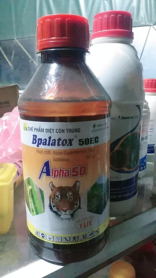 Alpha 50 sâu chuối -duoc-ban-tai-Phân bón  Phú Son