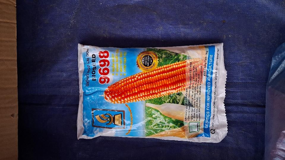 Giống ngô lai đơn 9698-duoc-ban-tai-Phân bón  Phú Son