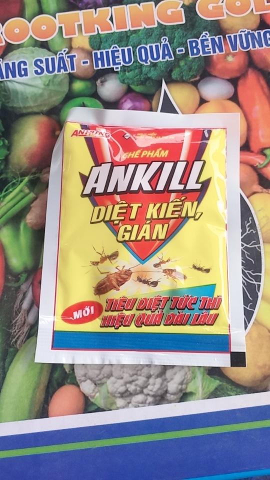 Kiến gián-duoc-ban-tai-Phân bón  Phú Son