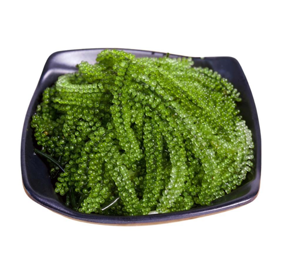 Seagrapes- Rong nho tươi 100g -duoc-ban-tai-FURINSUSHI- hệ thống CITY SUSHI ĐÀ LẠT