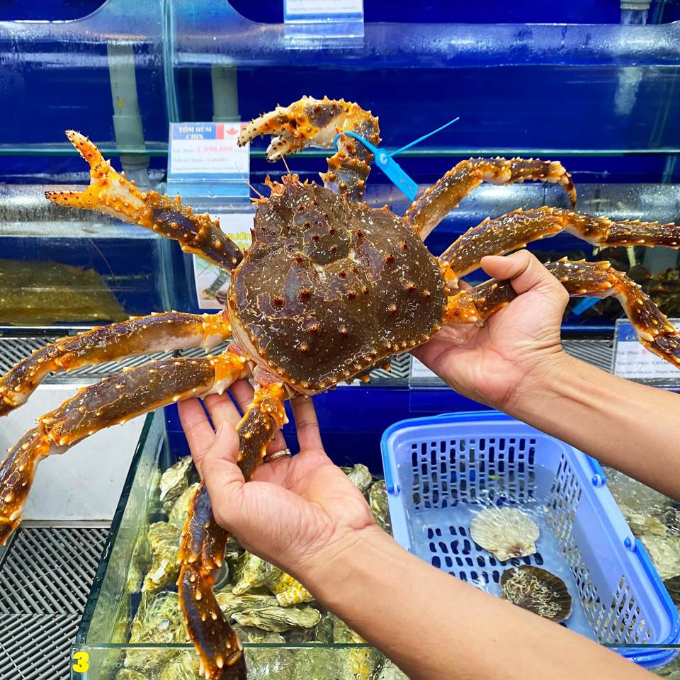 Cua Hoàng Đế Sống (Kingcrab đỏ)-duoc-ban-tai-Hải Sản CaRiBê