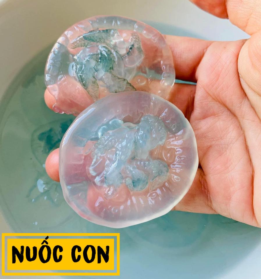 Nuốc Con Chân Ngắn Huế-duoc-ban-tai-Hải Sản CaRiBê