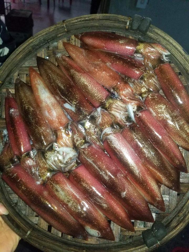 Mực nháy-duoc-ban-tai-Nhà hàng hải sản Win Seafood