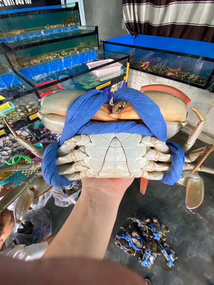 Cua thịt -duoc-ban-tai-Nhà hàng hải sản Win Seafood