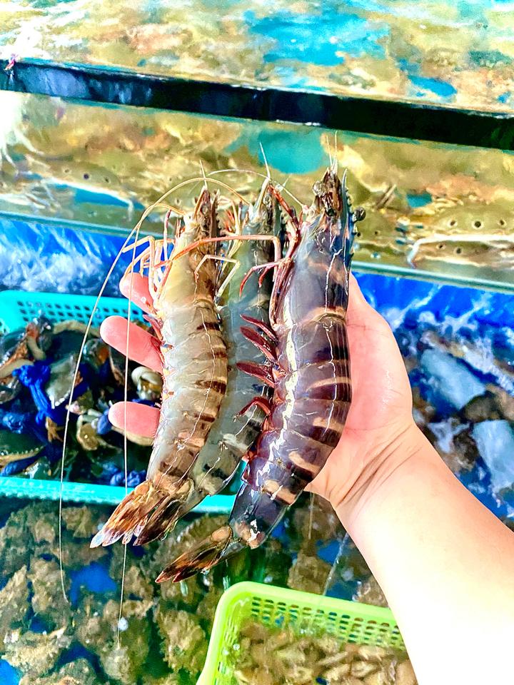 Tôm sú vừa-duoc-ban-tai-Nhà hàng hải sản Win Seafood