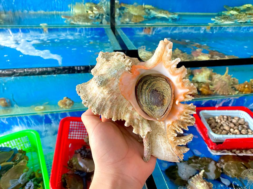 Ốc gai-duoc-ban-tai-Nhà hàng hải sản Win Seafood