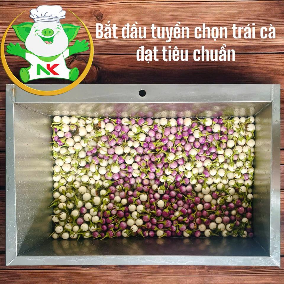 Cà tẩm muối Himalaya-duoc-ban-tai-ORISTORE- SỨC KHOẺ XANH