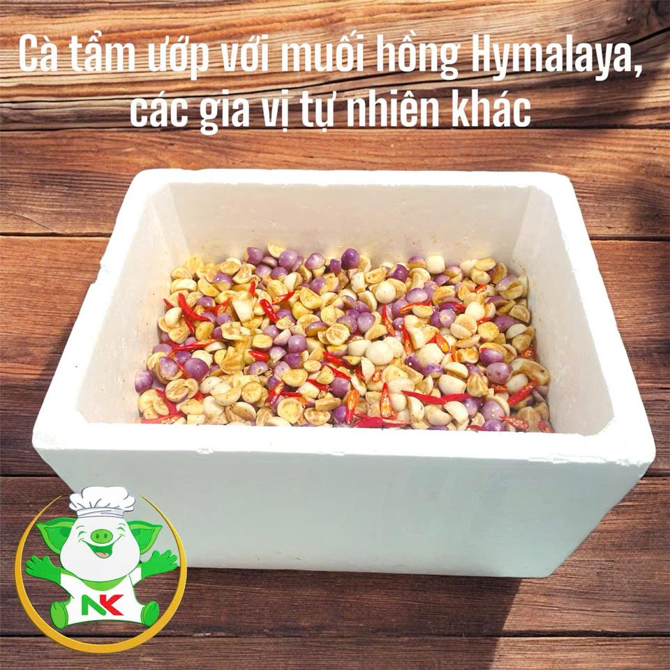 Cà tẩm muối Himalaya-duoc-ban-tai-ORISTORE- SỨC KHOẺ XANH